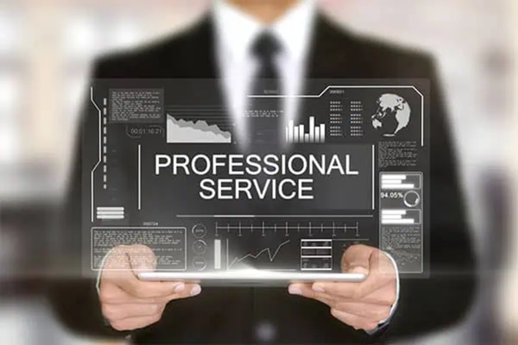 professional services